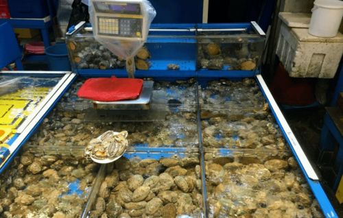 桂林海鲜市场两家水产品店被处罚，消费者权益警钟再响