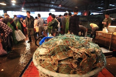 鱼虾等水产品交易火爆，鲜肉批发市场迎来新格局