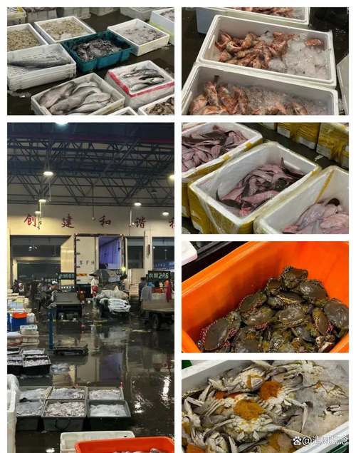 从零到五百万 一位水产鲜肉批发商的致富密码