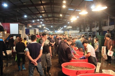 水产品交易持续升温，鲜肉批发市场迎来新机遇与挑战