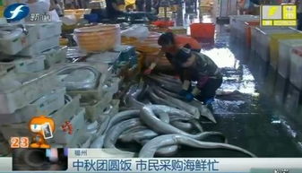 节日市场探访 福州海鲜价格波动有限，鲜肉批发稳定供应